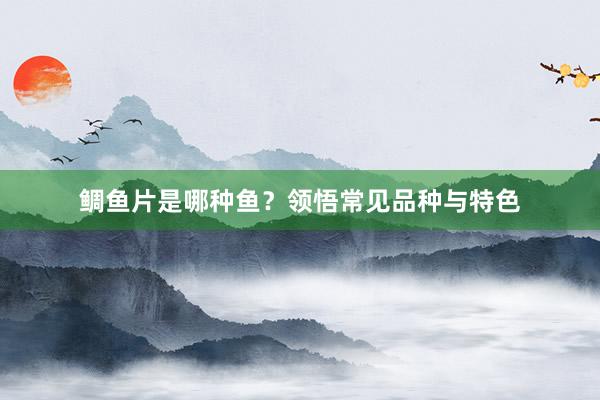 鲷鱼片是哪种鱼？领悟常见品种与特色